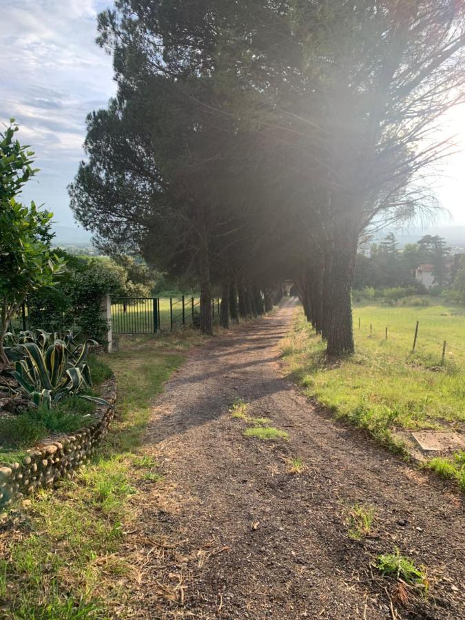 Chateau Le Perchoir Montélimar Dış mekan fotoğraf